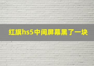 红旗hs5中间屏幕黑了一块