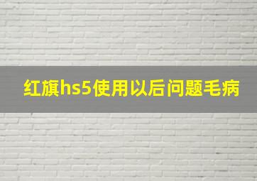 红旗hs5使用以后问题毛病