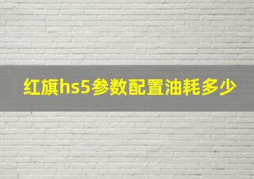 红旗hs5参数配置油耗多少