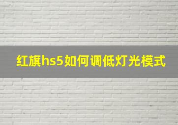 红旗hs5如何调低灯光模式