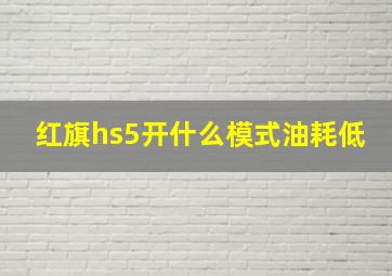 红旗hs5开什么模式油耗低