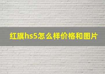 红旗hs5怎么样价格和图片