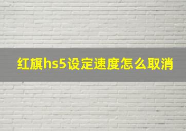 红旗hs5设定速度怎么取消