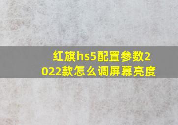 红旗hs5配置参数2022款怎么调屏幕亮度