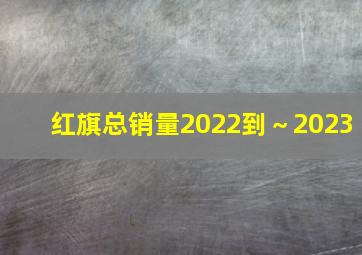 红旗总销量2022到～2023