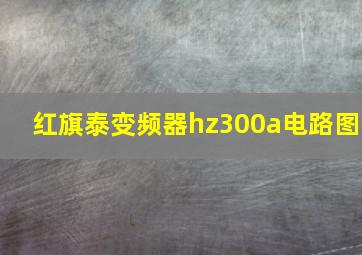 红旗泰变频器hz300a电路图