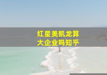 红星美凯龙算大企业吗知乎