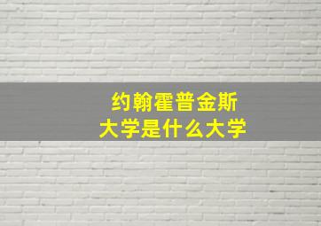 约翰霍普金斯大学是什么大学