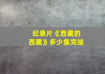 纪录片《西藏的西藏》多少集完结