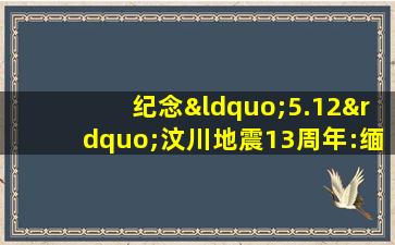 纪念“5.12”汶川地震13周年:缅怀逝者,致敬重生!