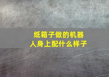 纸箱子做的机器人身上配什么样子