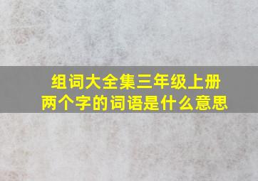 组词大全集三年级上册两个字的词语是什么意思