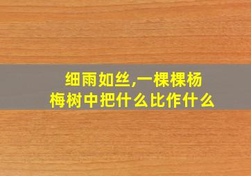 细雨如丝,一棵棵杨梅树中把什么比作什么