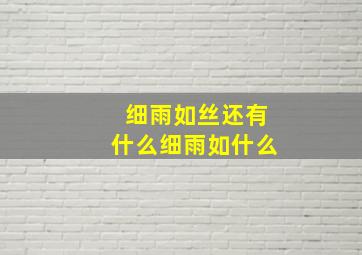 细雨如丝还有什么细雨如什么