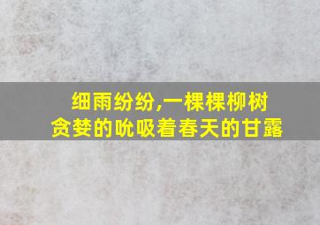 细雨纷纷,一棵棵柳树贪婪的吮吸着春天的甘露