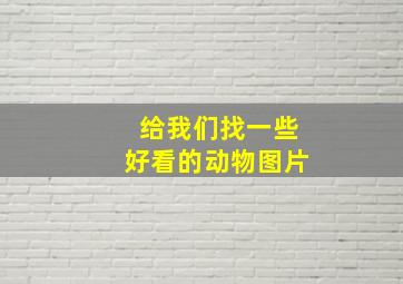 给我们找一些好看的动物图片