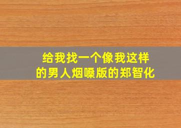 给我找一个像我这样的男人烟嗓版的郑智化