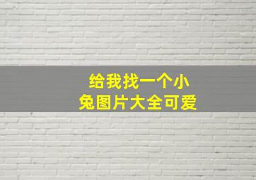 给我找一个小兔图片大全可爱