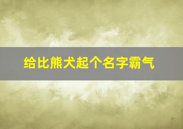 给比熊犬起个名字霸气