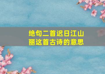 绝句二首迟日江山丽这首古诗的意思