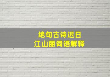 绝句古诗迟日江山丽词语解释