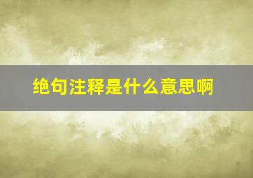 绝句注释是什么意思啊