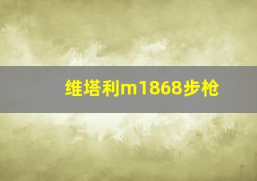 维塔利m1868步枪