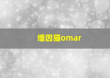 缅因猫omar