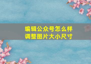 编辑公众号怎么样调整图片大小尺寸