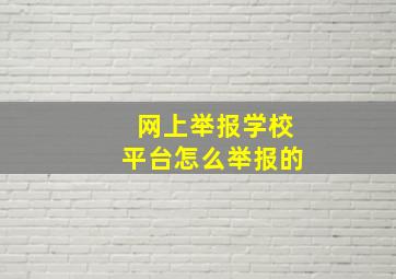 网上举报学校平台怎么举报的