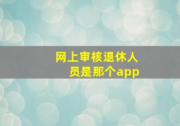 网上审核退休人员是那个app