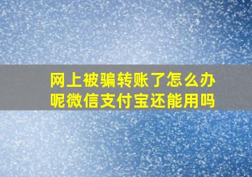 网上被骗转账了怎么办呢微信支付宝还能用吗