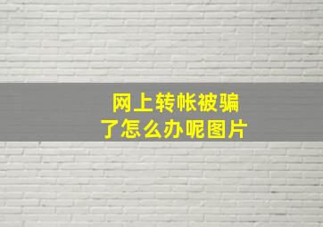 网上转帐被骗了怎么办呢图片