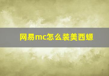 网易mc怎么装美西螈