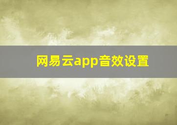 网易云app音效设置