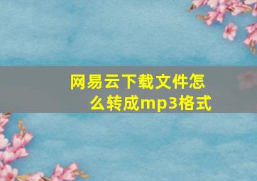 网易云下载文件怎么转成mp3格式