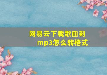 网易云下载歌曲到mp3怎么转格式