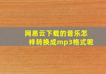 网易云下载的音乐怎样转换成mp3格式呢