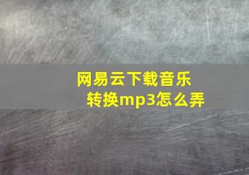 网易云下载音乐转换mp3怎么弄