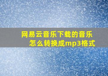 网易云音乐下载的音乐怎么转换成mp3格式