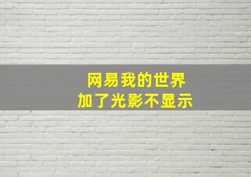 网易我的世界加了光影不显示