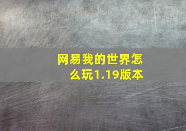 网易我的世界怎么玩1.19版本