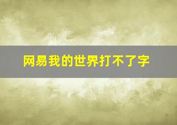 网易我的世界打不了字