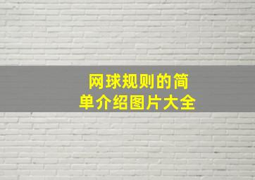 网球规则的简单介绍图片大全