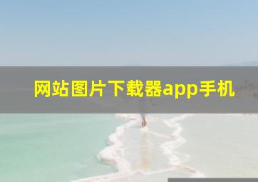 网站图片下载器app手机