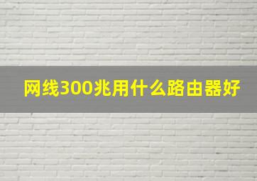 网线300兆用什么路由器好