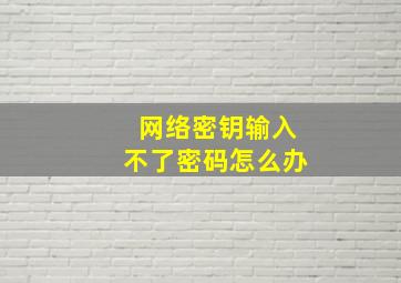 网络密钥输入不了密码怎么办