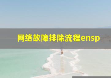 网络故障排除流程ensp