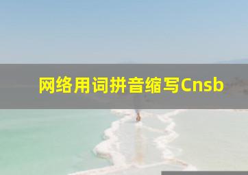 网络用词拼音缩写Cnsb