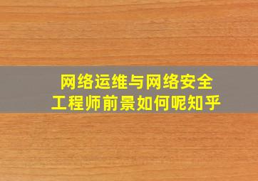 网络运维与网络安全工程师前景如何呢知乎